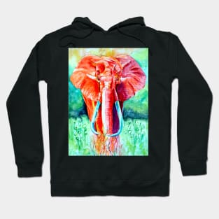 Elephant in Red Hoodie